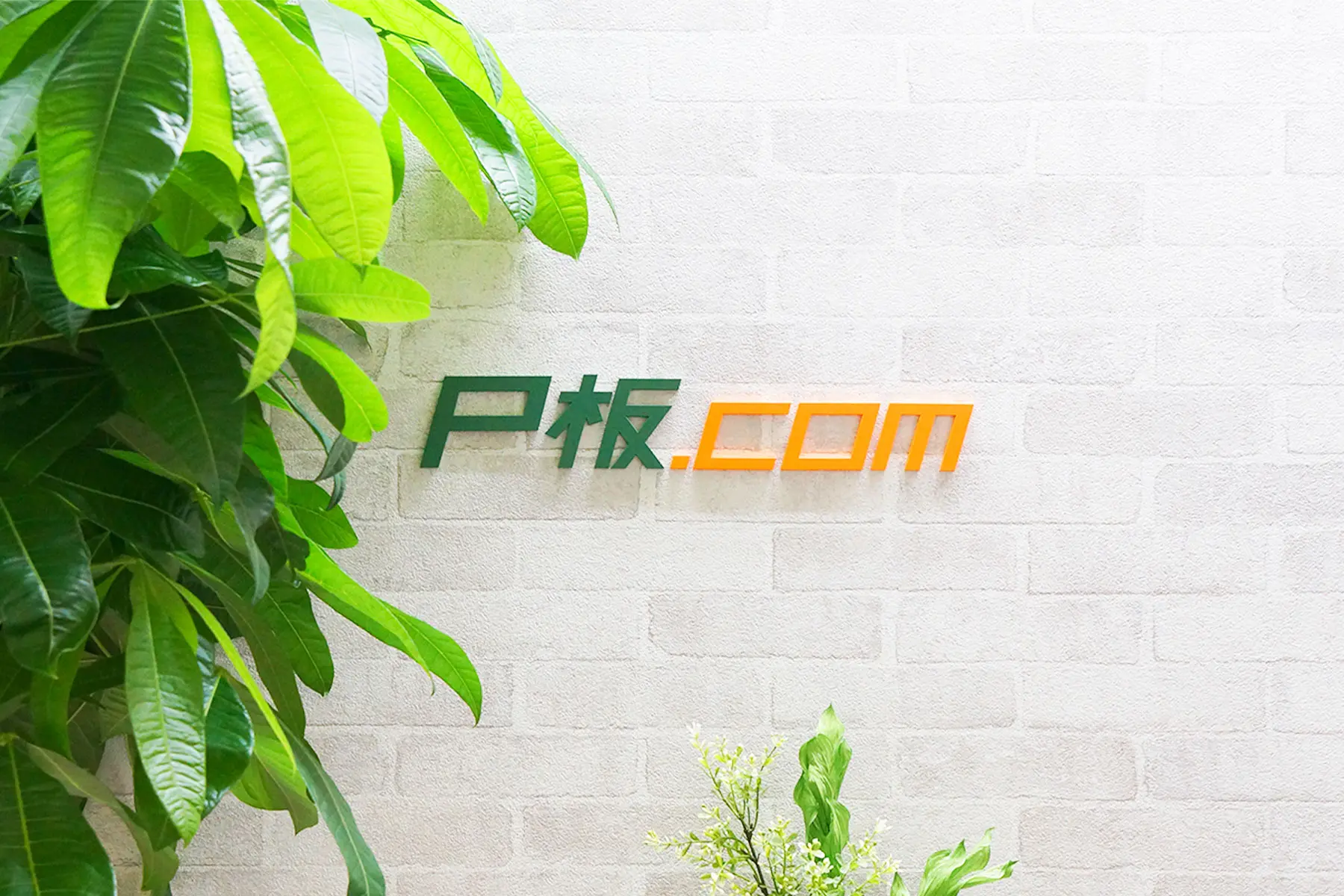 株式会社ピーバンドットコムの求人・転職・採用 | レバテックダイレクト