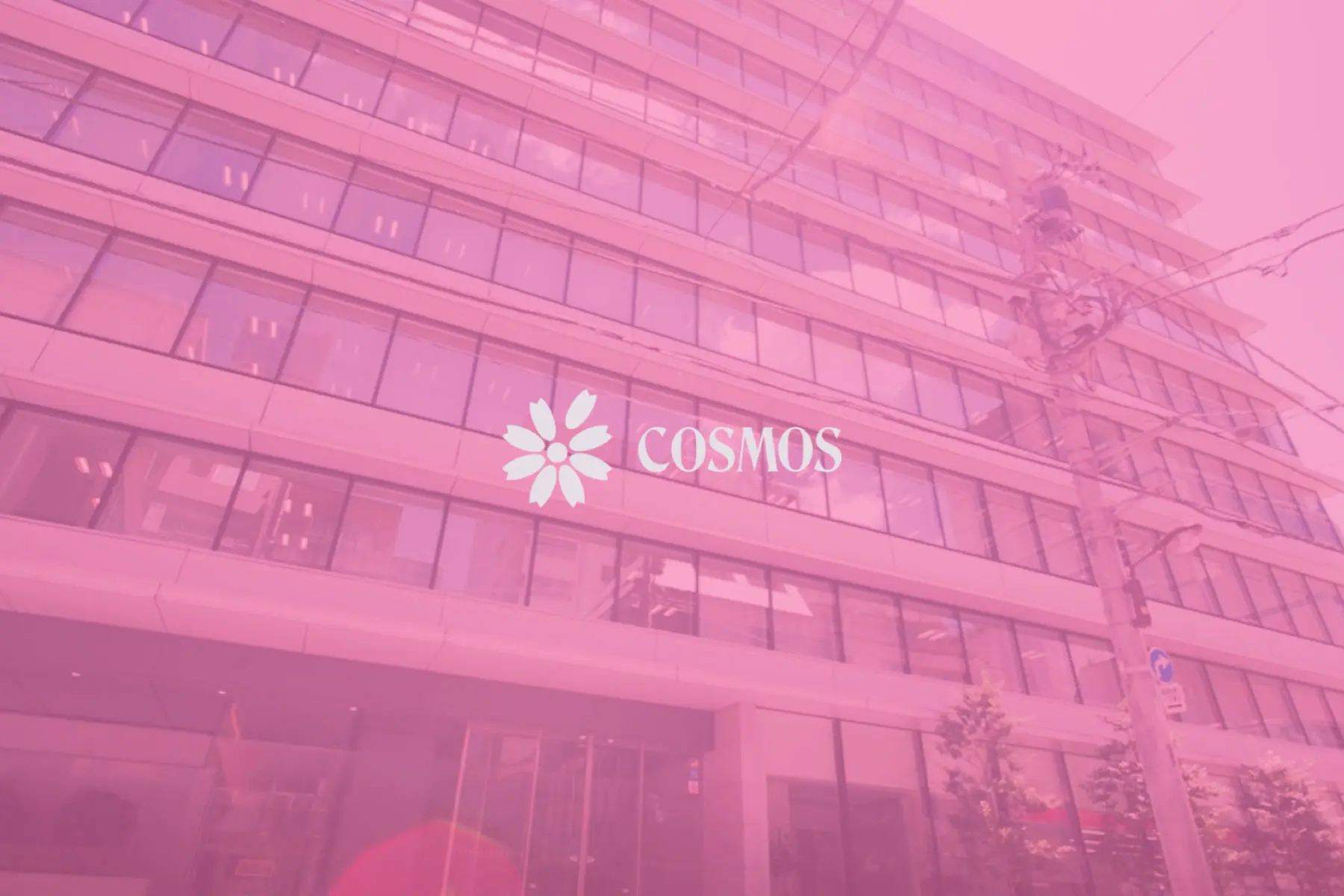 株式会社コスモスの求人・転職・採用 | レバテックダイレクト