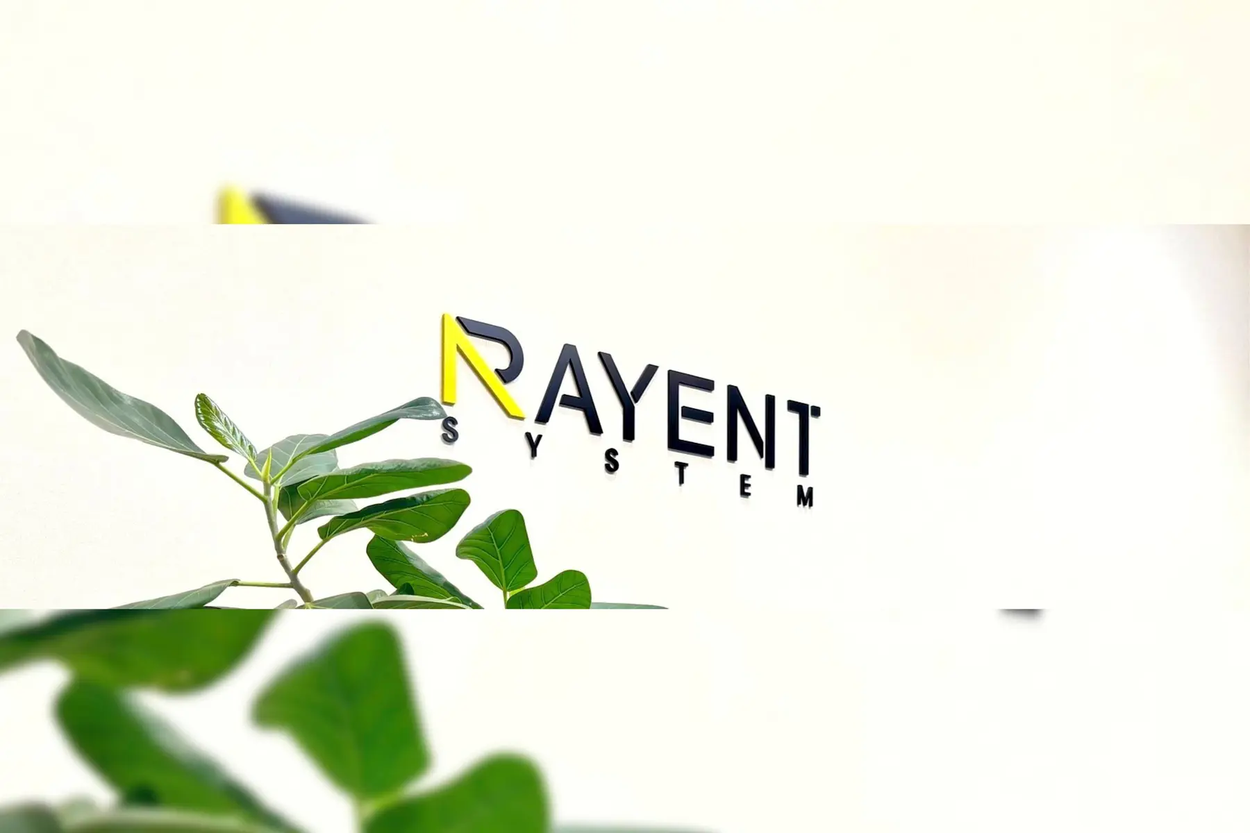 株式会社レイエントシステムのトップ画像