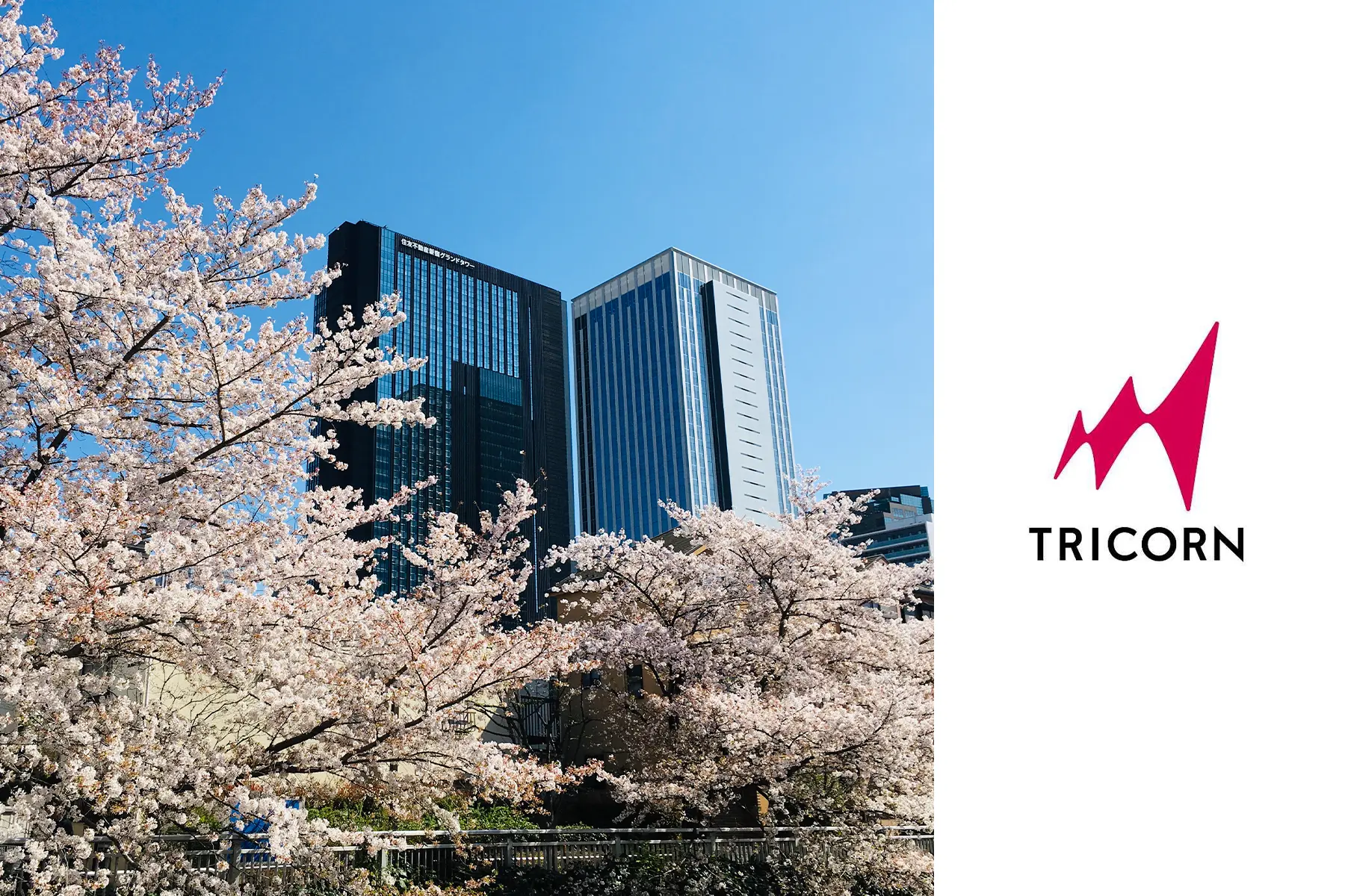 トライコーン株式会社のトップ画像