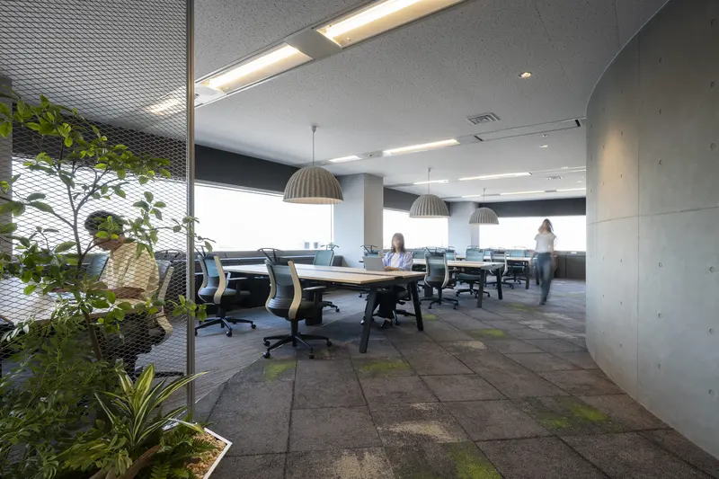 DATUM STUDIO株式会社の求人画像1