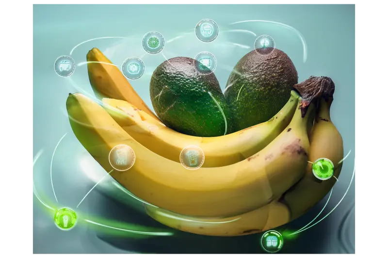 イーサポートリンク株式会社の求人画像3