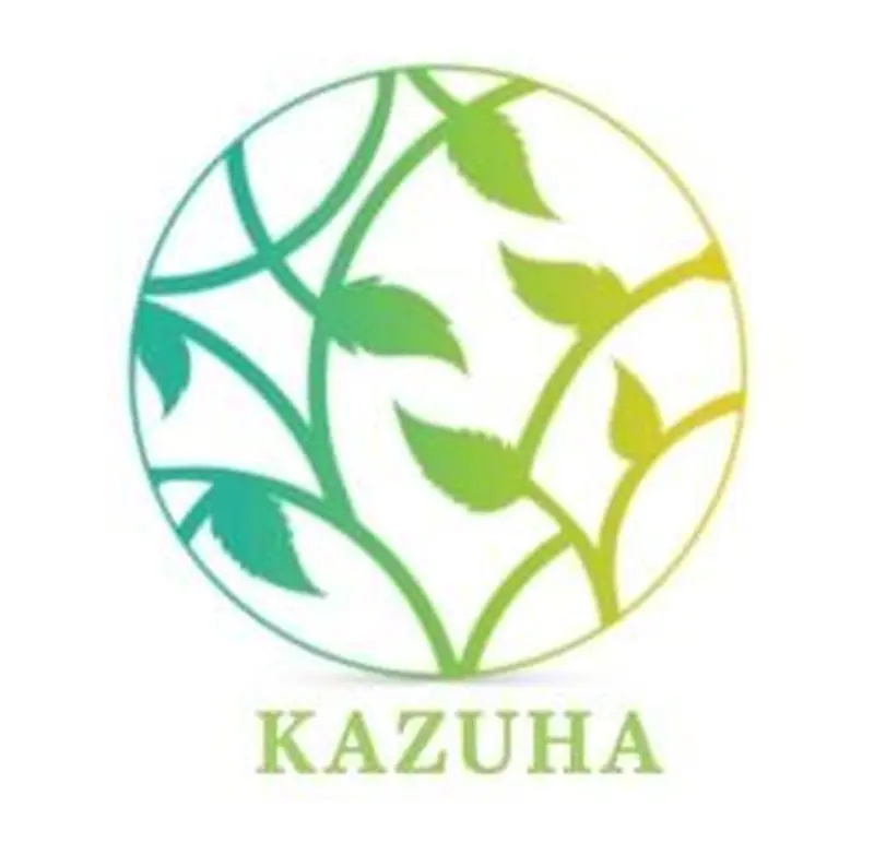 カズハシステムズ株式会社の求人画像1