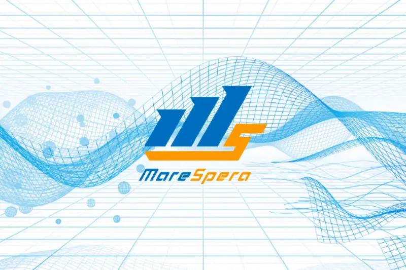 株式会社MareSperaの求人画像2